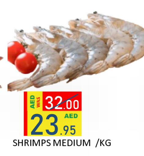 available at رويال جلف هايبرماركت in الإمارات العربية المتحدة , الامارات - أبو ظبي