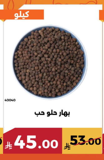 available at Forat Garden in KSA, Saudi Arabia, Saudi - Mecca