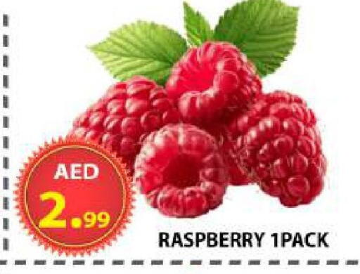 Raspberry available at AL WAHDA DISCOUNTS CENTRE in UAE - Sharjah / Ajman