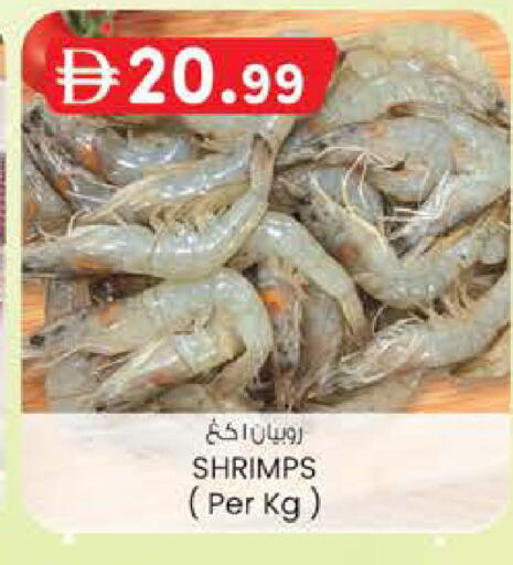 available at الصفا in الإمارات العربية المتحدة , الامارات - ٱلْعَيْن‎