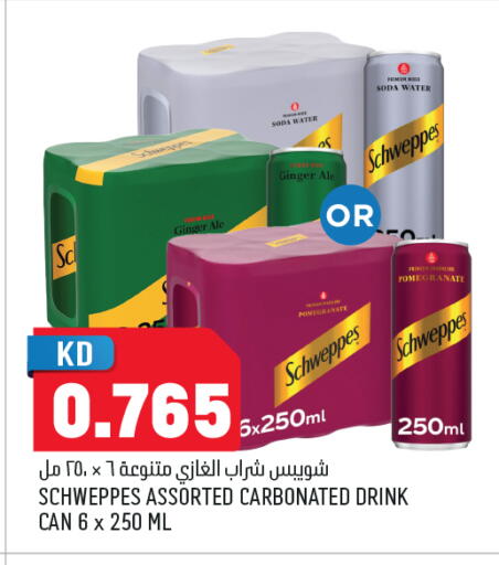 Pomegranate Ginger available at Oncost in Kuwait - Ahmadi Governorate