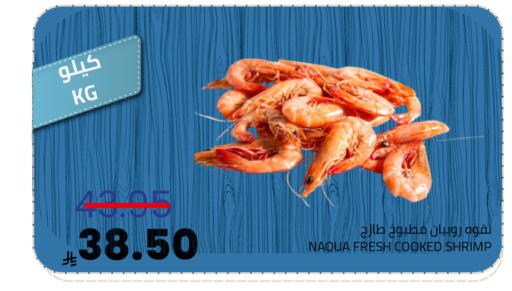 available at Astra Markets in KSA, Saudi Arabia, Saudi - Tabuk