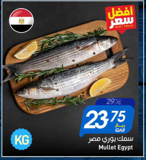 available at ســبــار in قطر - الخور