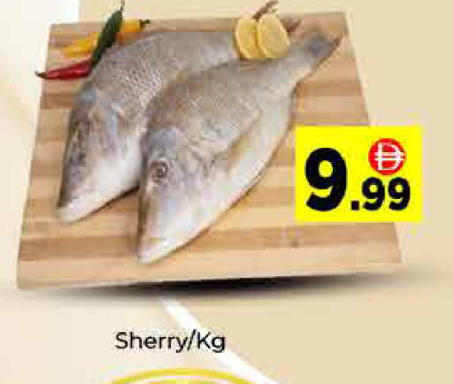 available at ايكو مول & ايكو هايبرماركت in الإمارات العربية المتحدة , الامارات - دبي