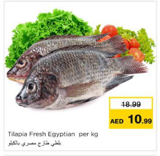 available at نستو هايبرماركت in الإمارات العربية المتحدة , الامارات - رَأْس ٱلْخَيْمَة