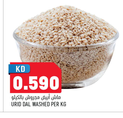 available at أونكوست in الكويت - محافظة الجهراء