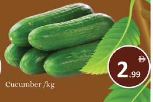 Cucumber available at AIKO Mall and AIKO Hypermarket in UAE - Al Ain