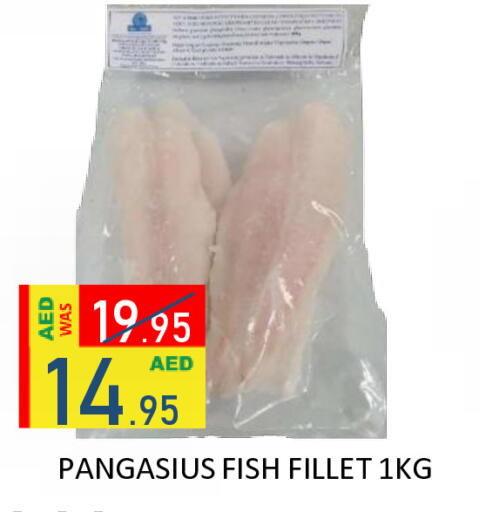 available at رويال جلف هايبرماركت in الإمارات العربية المتحدة , الامارات - أبو ظبي