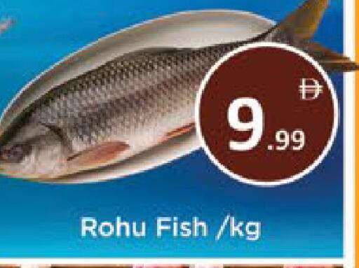 available at AIKO Mall and AIKO Hypermarket in UAE - Al Ain