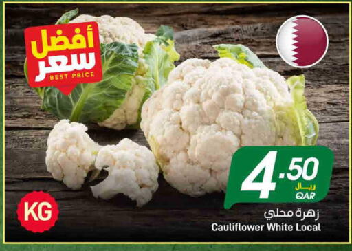 Cauliflower available at ســبــار in قطر - الخور
