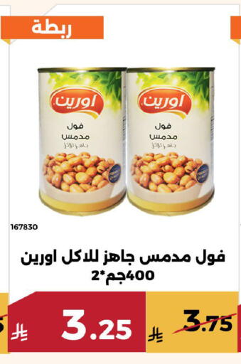 available at Forat Garden in KSA, Saudi Arabia, Saudi - Mecca