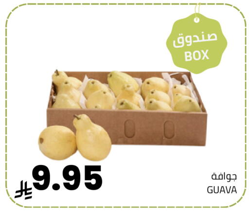 Guava available at Astra Markets in KSA, Saudi Arabia, Saudi - Tabuk