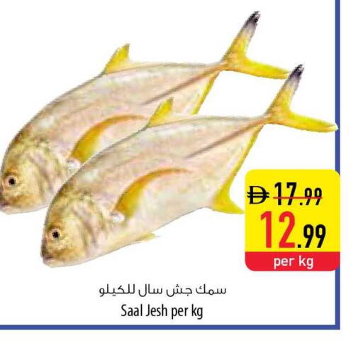 available at Safeer Market in UAE - Ras al Khaimah