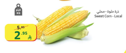 available at Al Raya in KSA, Saudi Arabia, Saudi - Mecca