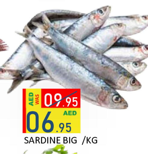 available at رويال جلف هايبرماركت in الإمارات العربية المتحدة , الامارات - أبو ظبي