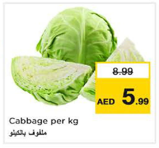 Cabbage available at Nesto Hypermarket in UAE - Dubai