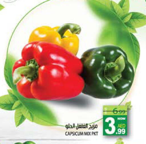 Capsicum available at Hashim Hypermarket in UAE - Sharjah / Ajman