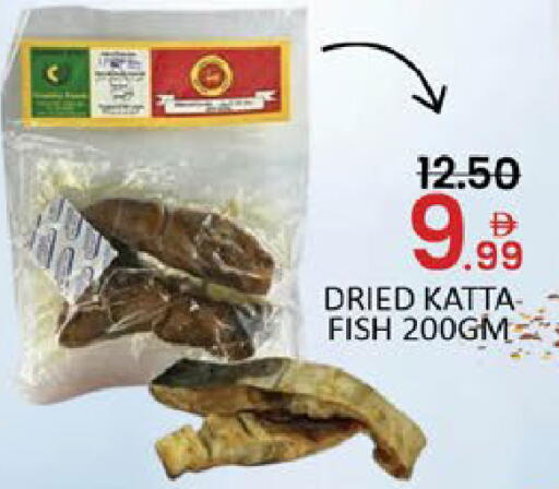 Mango available at مانجو هايبرماركت in الإمارات العربية المتحدة , الامارات - دبي