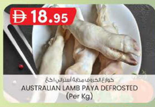 available at ك. الم. للتجارة in الإمارات العربية المتحدة , الامارات - ٱلْفُجَيْرَة‎