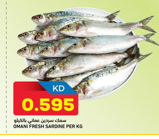 available at أونكوست in الكويت - محافظة الأحمدي