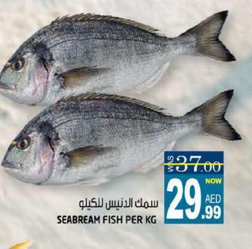 available at Hashim Hypermarket in UAE - Sharjah / Ajman