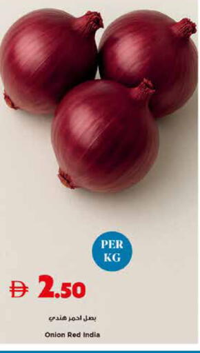 Onion from India available at Trolleys Supermarket in UAE - Sharjah / Ajman