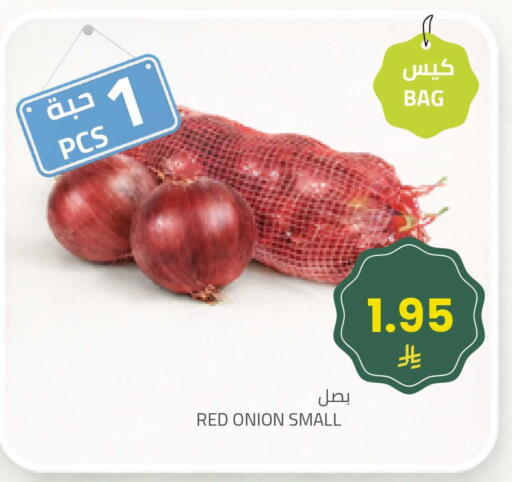 Onion available at Astra Markets in KSA, Saudi Arabia, Saudi - Tabuk