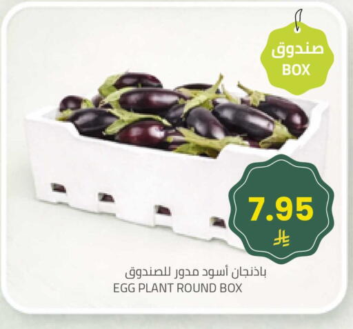 available at Astra Markets in KSA, Saudi Arabia, Saudi - Tabuk