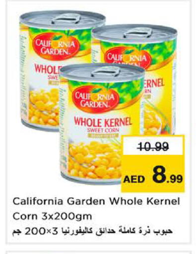 available at Nesto Hypermarket in UAE - Dubai