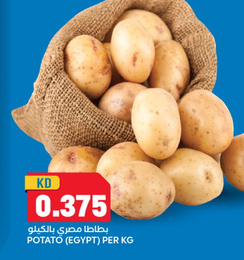 Potato from Egypt available at Oncost in Kuwait - Jahra Governorate