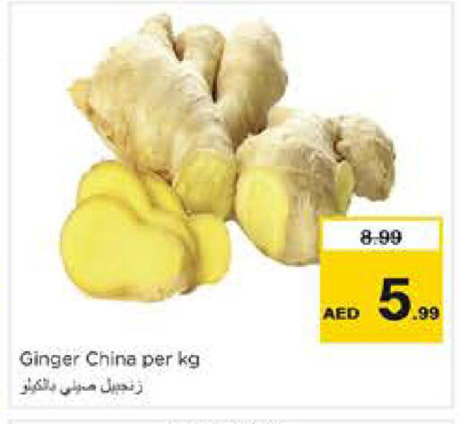 Ginger from China available at نستو هايبرماركت in الإمارات العربية المتحدة , الامارات - دبي