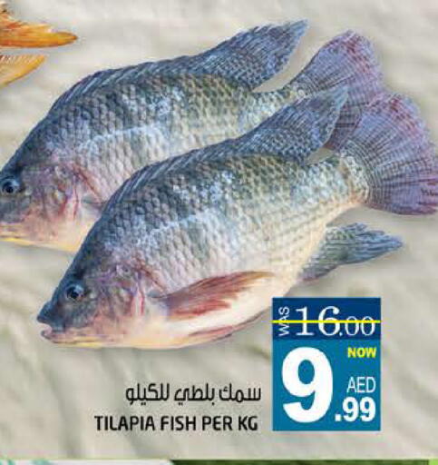 available at Hashim Hypermarket in UAE - Sharjah / Ajman