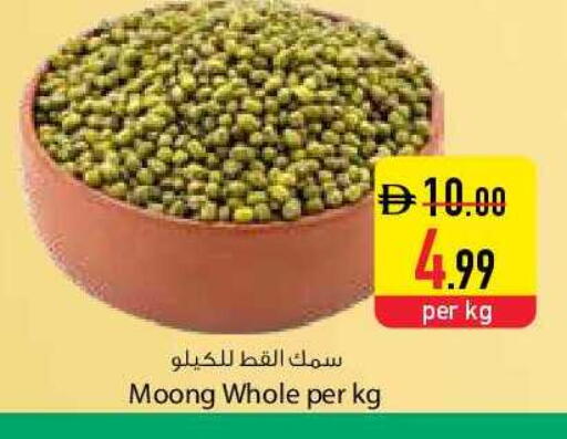 available at السفير ماركت in الإمارات العربية المتحدة , الامارات - دبي