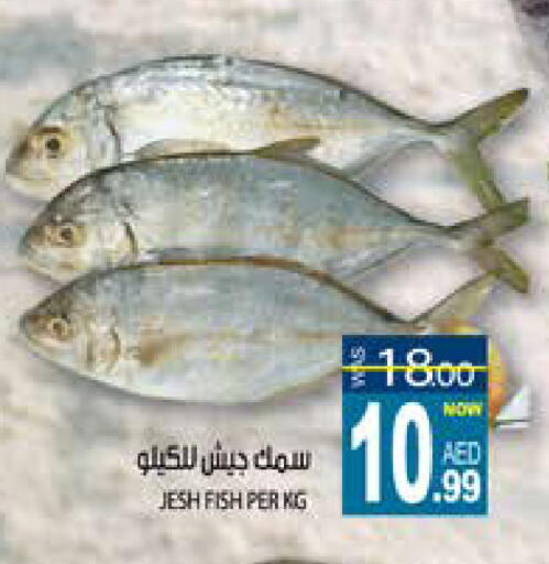 available at Hashim Hypermarket in UAE - Sharjah / Ajman