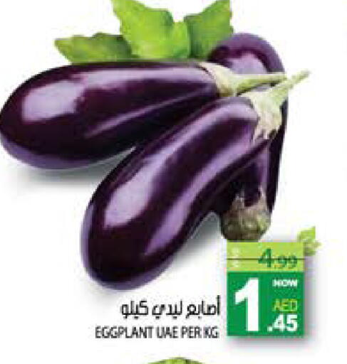 Eggplant available at Hashim Hypermarket in UAE - Sharjah / Ajman