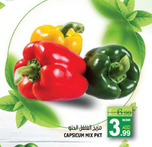 Capsicum available at Hashim Hypermarket in UAE - Sharjah / Ajman