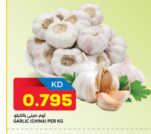 Garlic from China available at Oncost in Kuwait - Ahmadi Governorate
