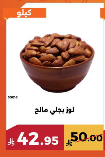 available at Forat Garden in KSA, Saudi Arabia, Saudi - Mecca