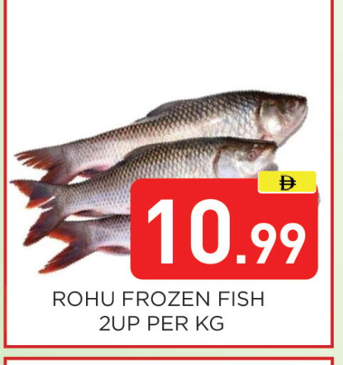 available at عين المدينة هايبرماركت in الإمارات العربية المتحدة , الامارات - الشارقة / عجمان