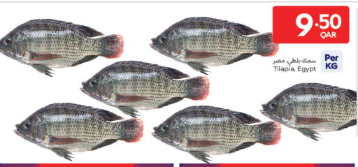 available at Carrefour in Qatar - Al Khor