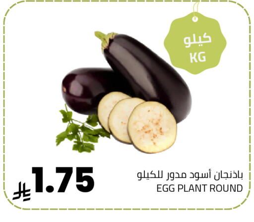 available at Astra Markets in KSA, Saudi Arabia, Saudi - Tabuk