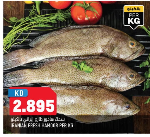 available at أونكوست in الكويت - محافظة الأحمدي