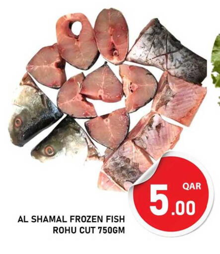 available at باشن هايبر ماركت in قطر - الريان