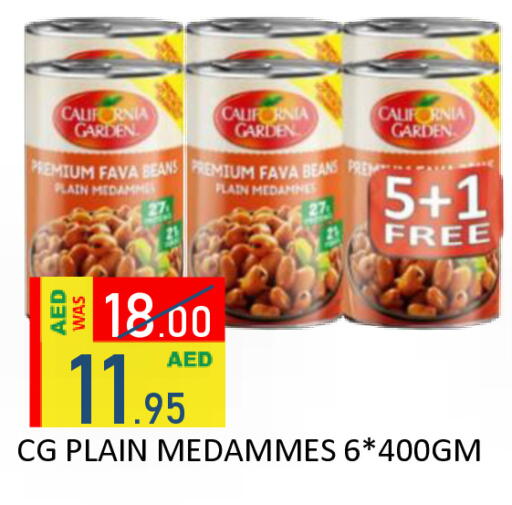 available at رويال جلف هايبرماركت in الإمارات العربية المتحدة , الامارات - أبو ظبي