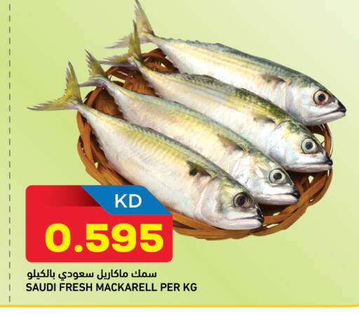 available at أونكوست in الكويت - محافظة الأحمدي