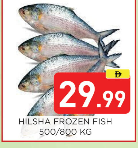 available at عين المدينة هايبرماركت in الإمارات العربية المتحدة , الامارات - الشارقة / عجمان