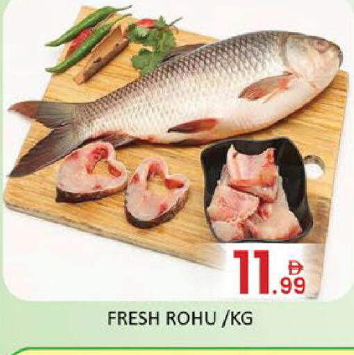 Mango available at مانجو هايبرماركت in الإمارات العربية المتحدة , الامارات - دبي