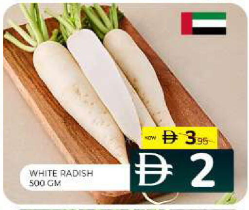 Radish available at Al Madina  in UAE - Sharjah / Ajman