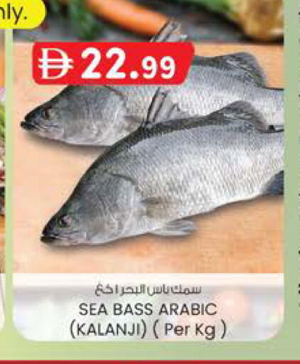 available at Safa Express Supermarket in UAE - Abu Dhabi