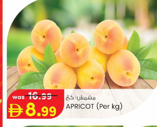 Apricot available at Safa Express Supermarket in UAE - Abu Dhabi